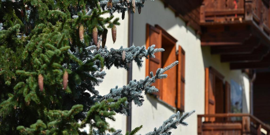 Chalet Barbara Livigno Exterior foto